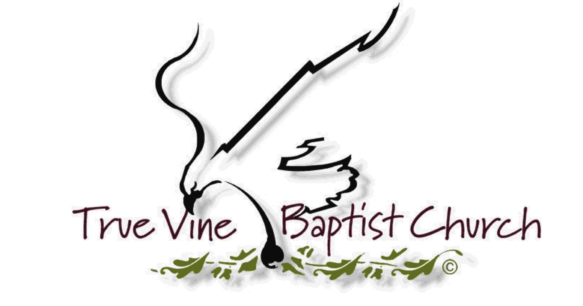 True Vine Baptist Church San Antonio